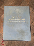 V. G. Eliseev - Atlas al structurii microscopice a tesuturilor si organelor