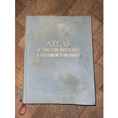 V. G. Eliseev - Atlas al structurii microscopice a tesuturilor si organelor