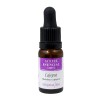 Ulei Esential de Cajeput, 10 ml, Nirvana Spa