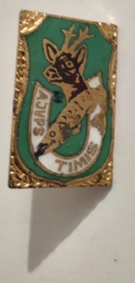 Insigna vanatoare - pescuit - AJVPS Timis foto