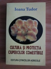 Ioana Tudor - Cultura si protectia ciupercilor comestibile