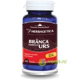 Branca Marelui Urs 60cps