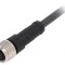 Cablu Conectare M12 8PIN Drept 2m 30VAC 4A