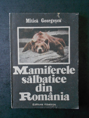 MITICA GEORGESCU - MAMIFERELE SALBATICE DIN ROMANIA foto