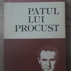 PATUL LUI PROCUST-CAMIL PETRESCU