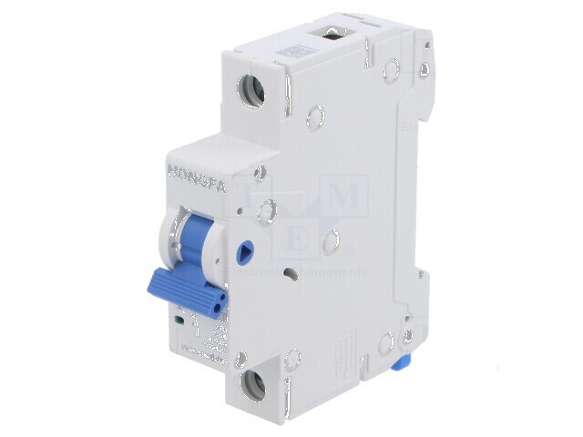 &Icirc;ntrerupător de supracurent 40A 230/400VAC 1 Poli 6kA