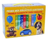 Prima mea biblioteca ilustrata. Primele cuvinte in limba engleza. Cutie 8 carticele/***
