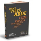 Orice viata arde. Cum explica termodinamica originea oricarei forme de viata - Smaranda Nistor, Jeremy England