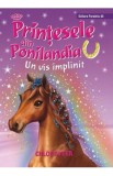 Printesele din Ponilandia: Un vis implinit - Chloe Ryder