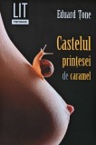 Castelul printesei de caramel - 2008 - Eduard Tone (AK267)