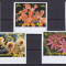 DB1 Flora Flori Fujeira Nuferi etc. 5 v. MNH ndt.