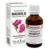EXTRACT DIN BOBOCI DE MAGNOLIE 50ML, Plantextrakt