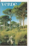 FA167 - Carte Postala - ITALIA - RAvenna intorno. Verde, Azzuro, Oro, necirculata