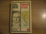 Johann Wolfgang Goethe - Calatorie in Italia
