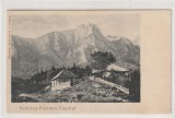 Poiana Tapului - Vedere Poieana Tapului