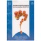 Mircea Nedea, Nita Nedea - Problematizarea in evaluarea geneticii -