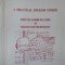 A PRACTICAL ENGLISH COURSE-NICOLETA-MARIANA IFTIMIE-253379