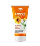 Sampon cu Galbenele, Propolis si Miere 200ml Ceta