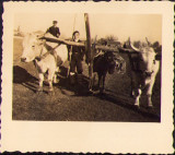 M533 Car cu boi, anii 1940