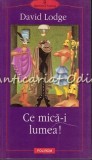 Cumpara ieftin Ce Mica-i Lumea - David Lodge, Polirom, 2001, Roman, Beletristica, 489 Pagini