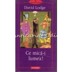 Ce Mica-i Lumea - David Lodge