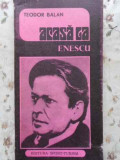 ACASA LA ENESCU-TEODOR BALAN