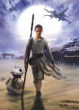 Fototapet 4-448 STAR WARS Rey