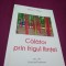 CALATOR PRIN FRIGUL FIINTEI-ELENA C.PETRUT 2018 /AUTOGRAF CU DEDICATIE AUTOR