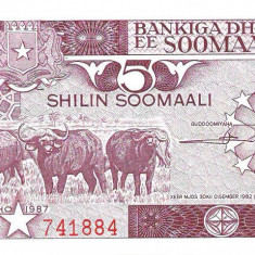 Somalia, 5 shilin/shillings 1987, bivoli si plantatie de banane