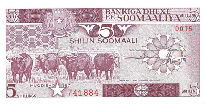 Somalia, 5 shilin/shillings 1987, bivoli si plantatie de banane foto