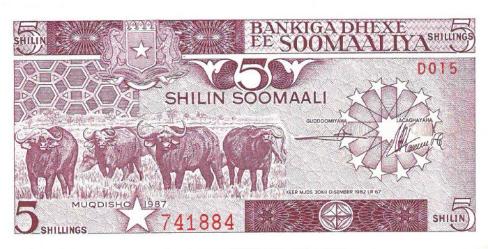 Somalia, 5 shilin/shillings 1987, bivoli si plantatie de banane