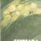 Comoara - Paul Miclau