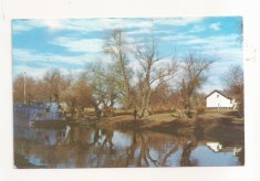 RF55 -Carte Postala- Vedere din Delta Dunarii, circulata 1966