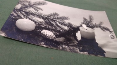 CARTE POSTALA FELICITARE CIRCULATA foto