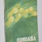 Paul Miclau - Comoara