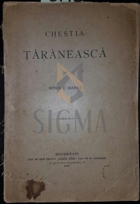 CHESTIA TARANEASCA foto