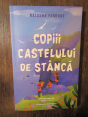 Copiii castelului de stanca - Natasha Farrant foto