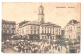 SV * BUCOVINA * CERNAUTI * PRIMARIA si PIATA CENTRALA animata * 1908, Circulata, Printata, Fotografie