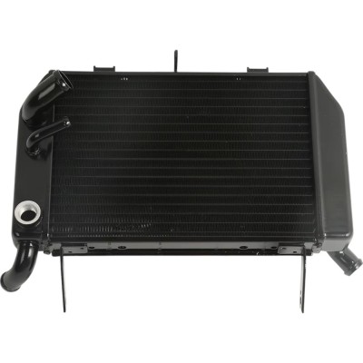 Radiator Suzuki TL 1000 TL1000R 1998-2003 foto