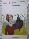 ORASUL CU SALCAMI. ACCIDENTUL-MIHAIL SEBASTIAN-337239