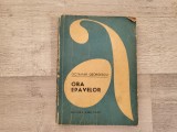Ora epavelor de Octavian Georgescu
