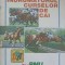 INDRUMATORUL CURSELOR DE CAI-COLECTIV-216047