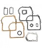Set garnituri motor Briggs and straton 3.5 CP (seria 298989), Taiwan