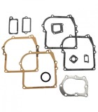 Cumpara ieftin Set garnituri motor Briggs and straton 3.5 CP (seria 298989)