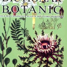 Dictionar botanic, cele mai cunoscute plante din flora romaniei