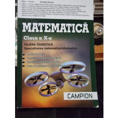 Matematica clasa a X-a, filiera teoretica, specializarea matematica informatica - Marius Burtea