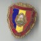 MILITAR DE FRUNTE insigna varianta CULOARE STEMA - Rara