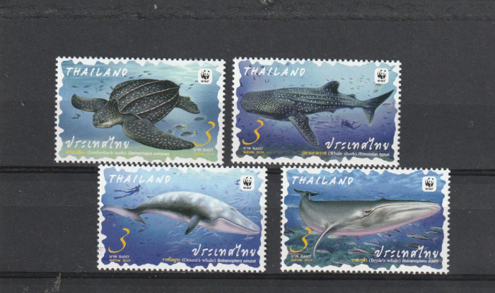 Fauna marina ,WWF,Tailanda.