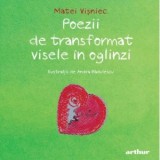 Poezii de transformat visele in oglinzi - Matei Visniec