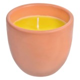 Lumanare citronella anti tantari in pahar de ceramica,410 g, Oem